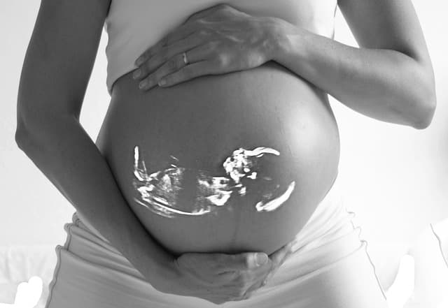 The Nerve Tube and Early Brain Development in Children