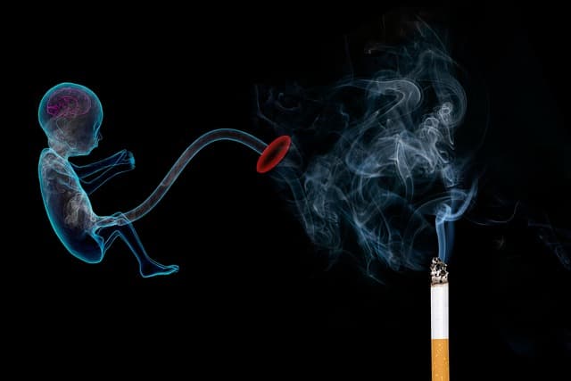 The Effects of Alcohol and Smoking